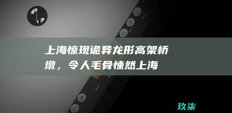 上海惊现诡异龙形高架桥墩，令人毛骨悚然 (上海惊现诡异案件)