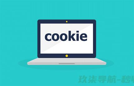 cookie是什么意思