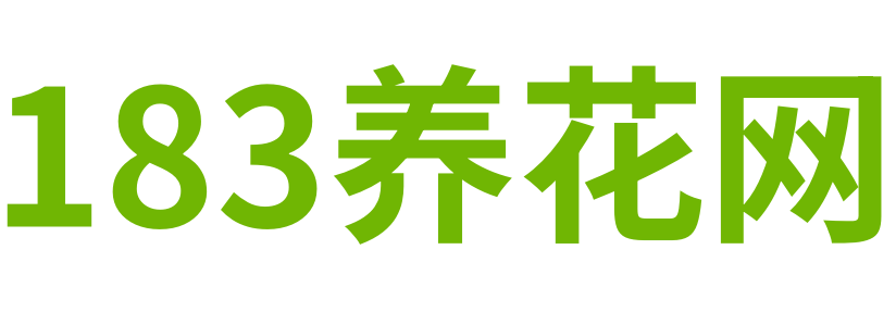 金钱树君子兰的养殖方法和注意事项